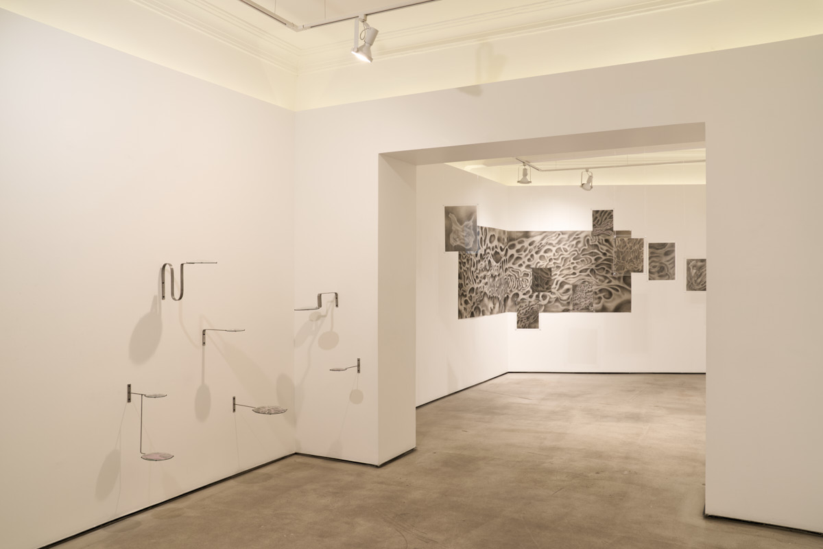 Sonia Bandura, ‘Corteza líquida’, vista de la exposición. Cortesía de La Nao, fotografía: Enrique Murguía
