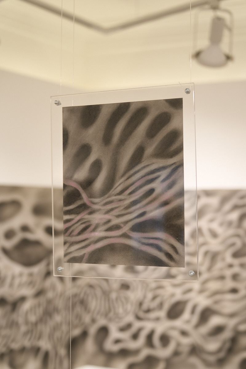 Sonia Bandura, ‘Corteza líquida’, vista de la exposición. Cortesía de La Nao, fotografía: Enrique Murguía
