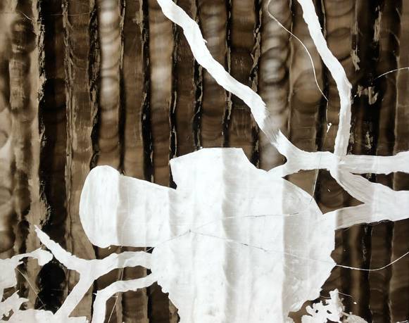 Daniel Monroy Cuevas