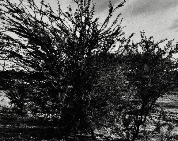 Hipersticiones Intensivas. El fin del capitalismo