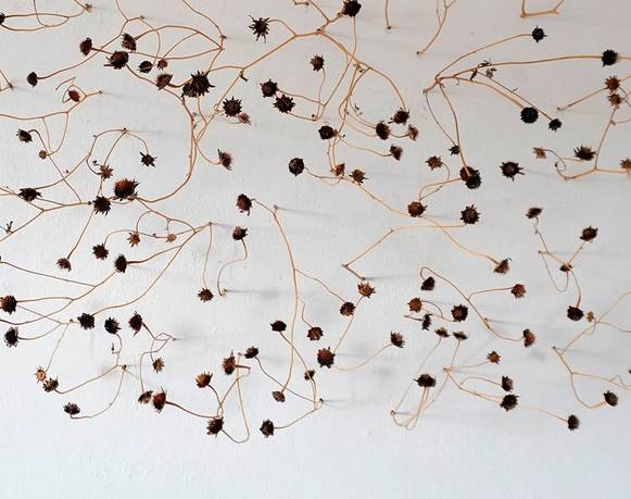 Joshua Jobb & Alfredo Gallegos Mena