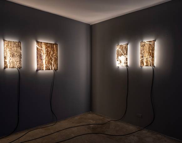 Daniel Monroy Cuevas