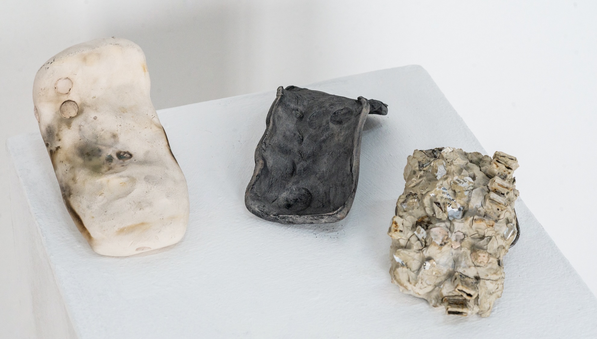 Lucia R, Litemia .01. Exhibition view. Courtesy of the artist and Salón Silicón. Photograph: Blanca García