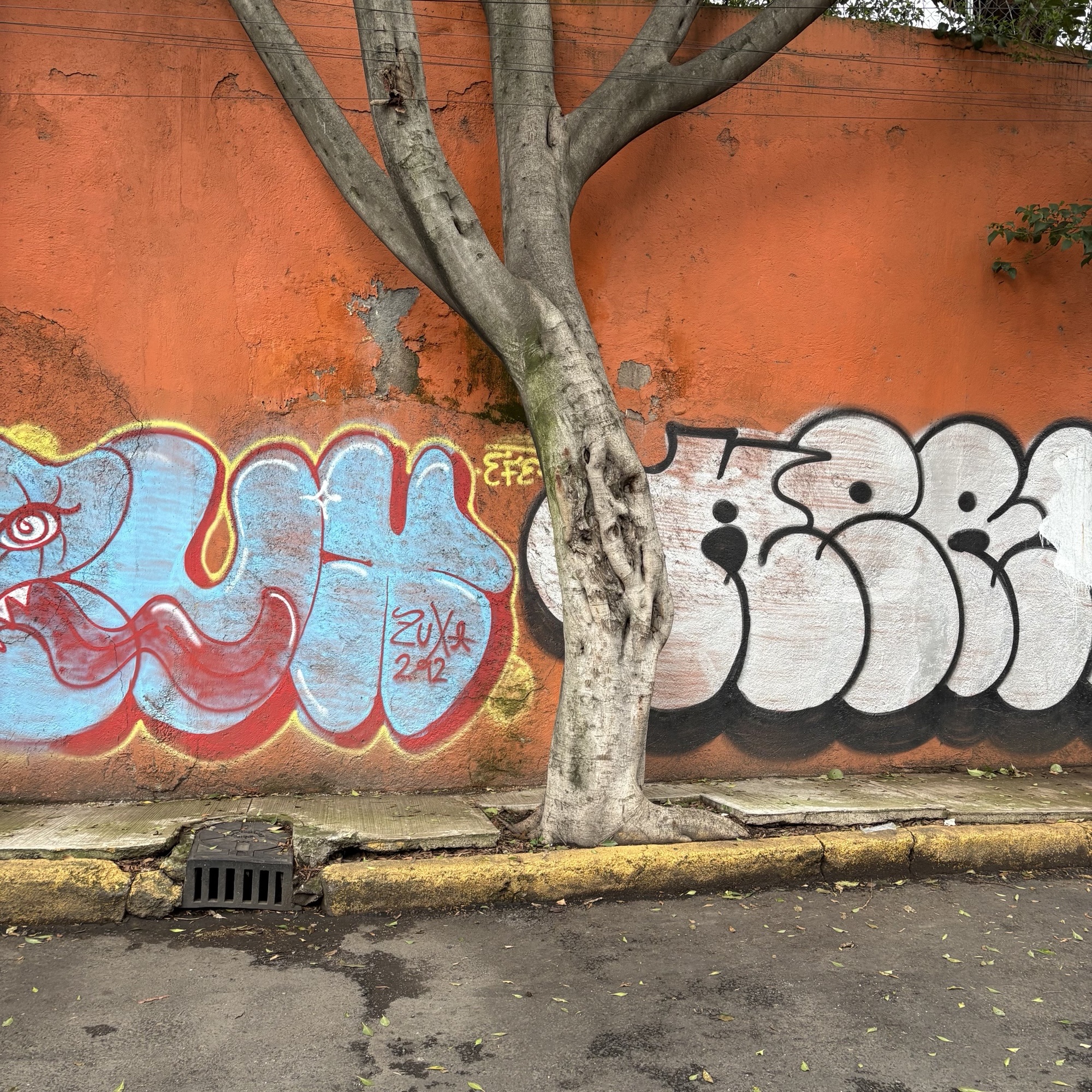Exposiciones de lxs artistas en residencia