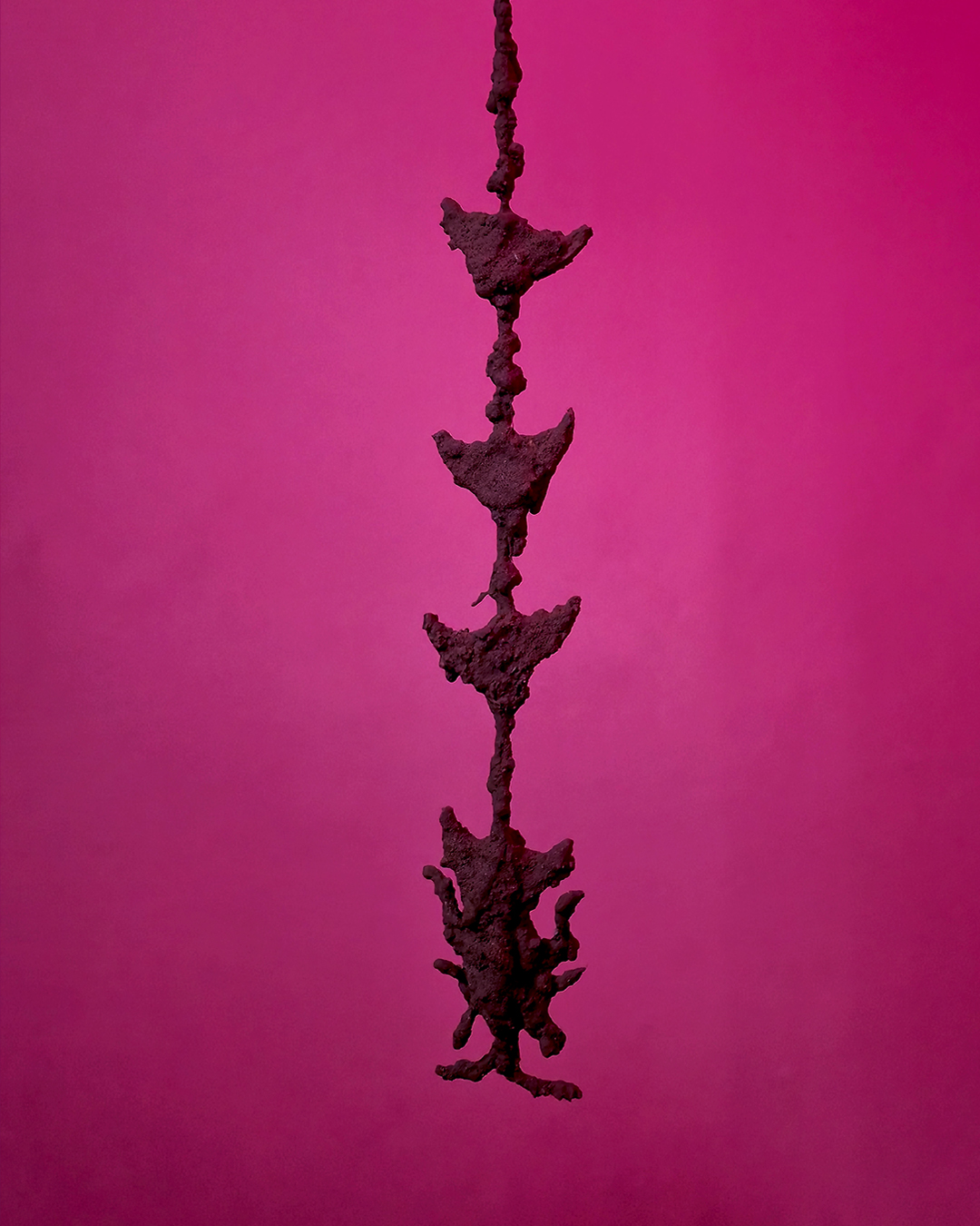 Gabriel Sánchez-Mejorada y Nahuel Sánchez Tolosa, ‘Charca’, Espacio Cabeza, vista de la exposición. Cortesía de los artistas