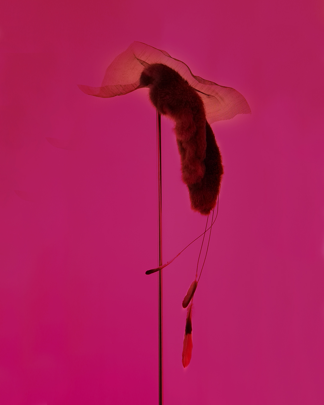 Gabriel Sánchez-Mejorada y Nahuel Sánchez Tolosa, ‘Charca’, Espacio Cabeza, vista de la exposición. Cortesía de los artistas