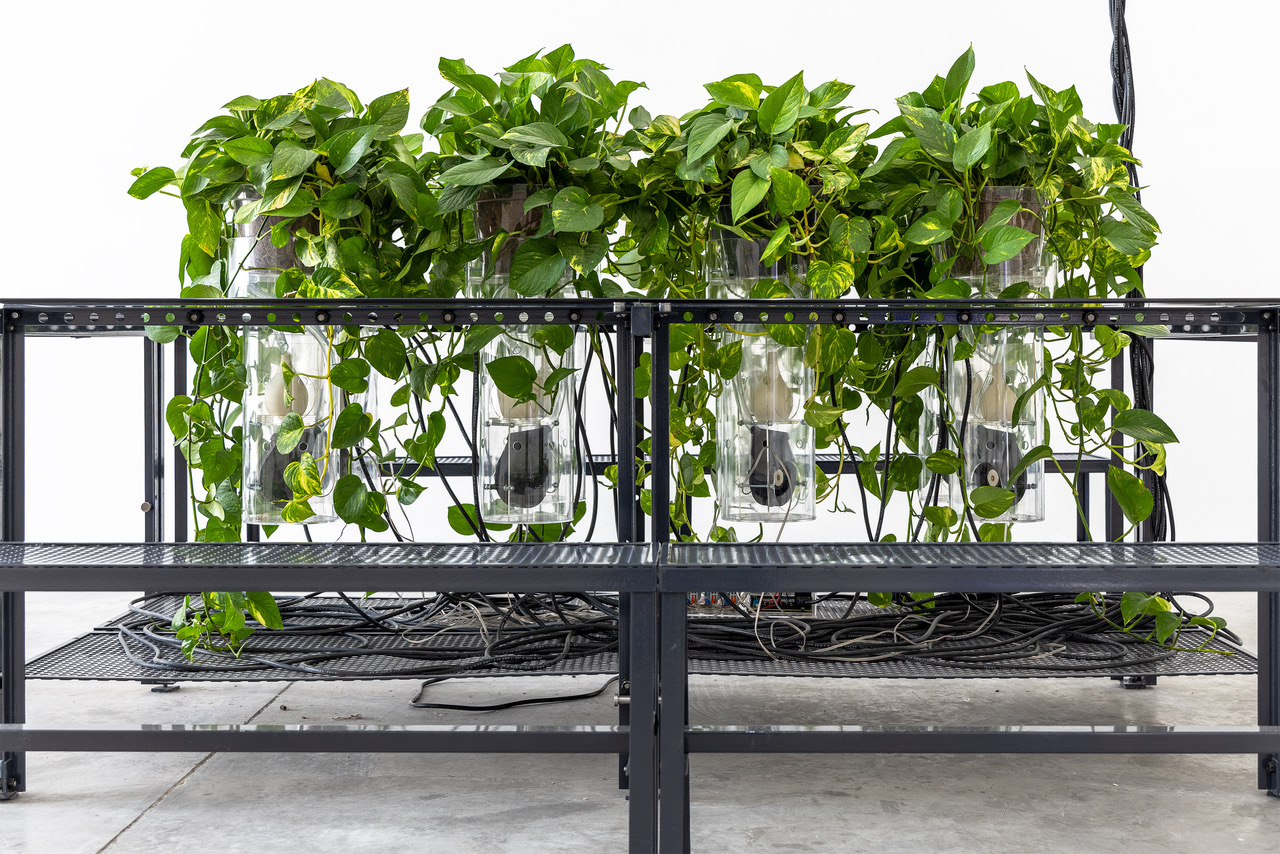 Activation of the piece Oficina de Ecologías Artificiales