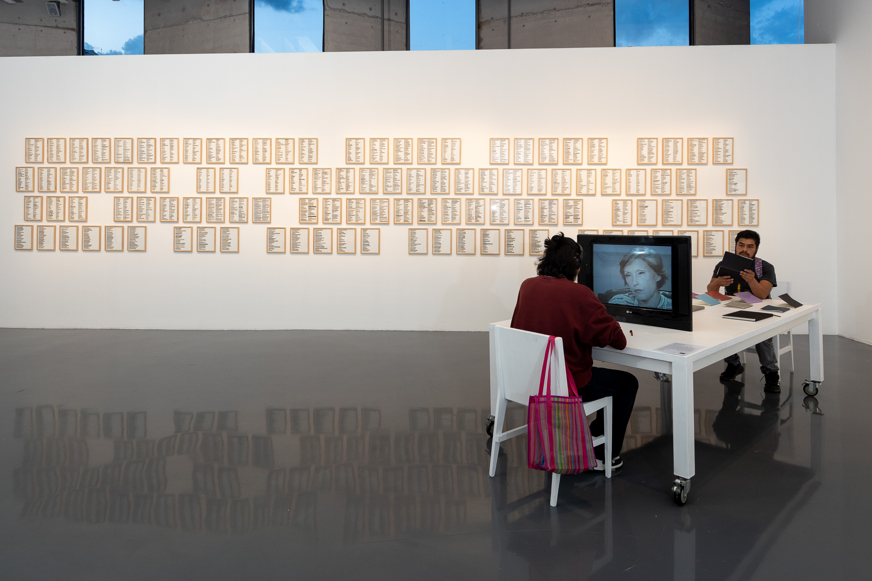 Fictions in Contemporary Art at the Centro Cultural de España en México