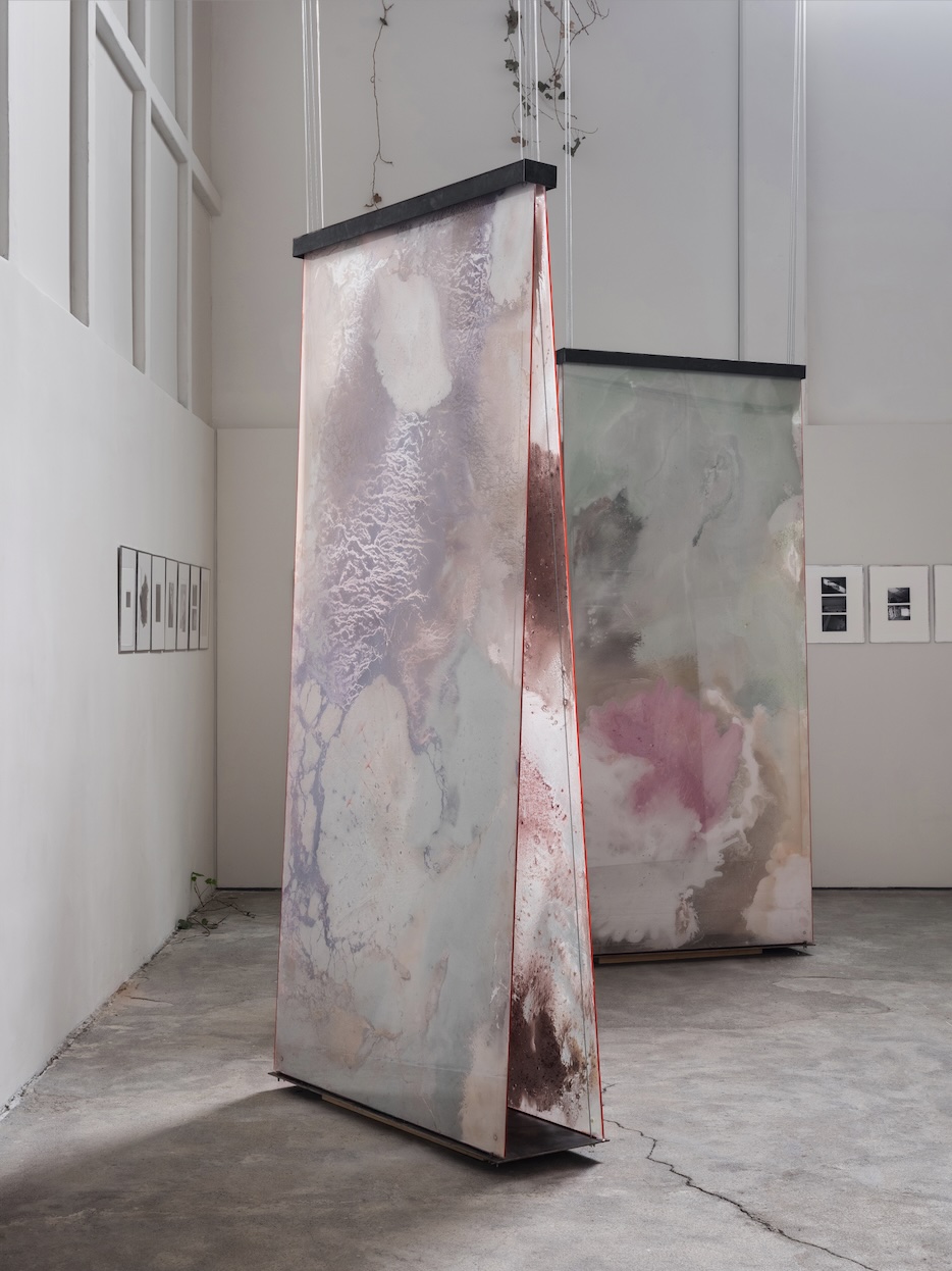 Manuela de Laborde, “El desierto de ella; Alicia, Chantal, Eunice”. Vista de la exposición, cortesía de la artista y PEANA. Fotografía de Caylon Hackwith