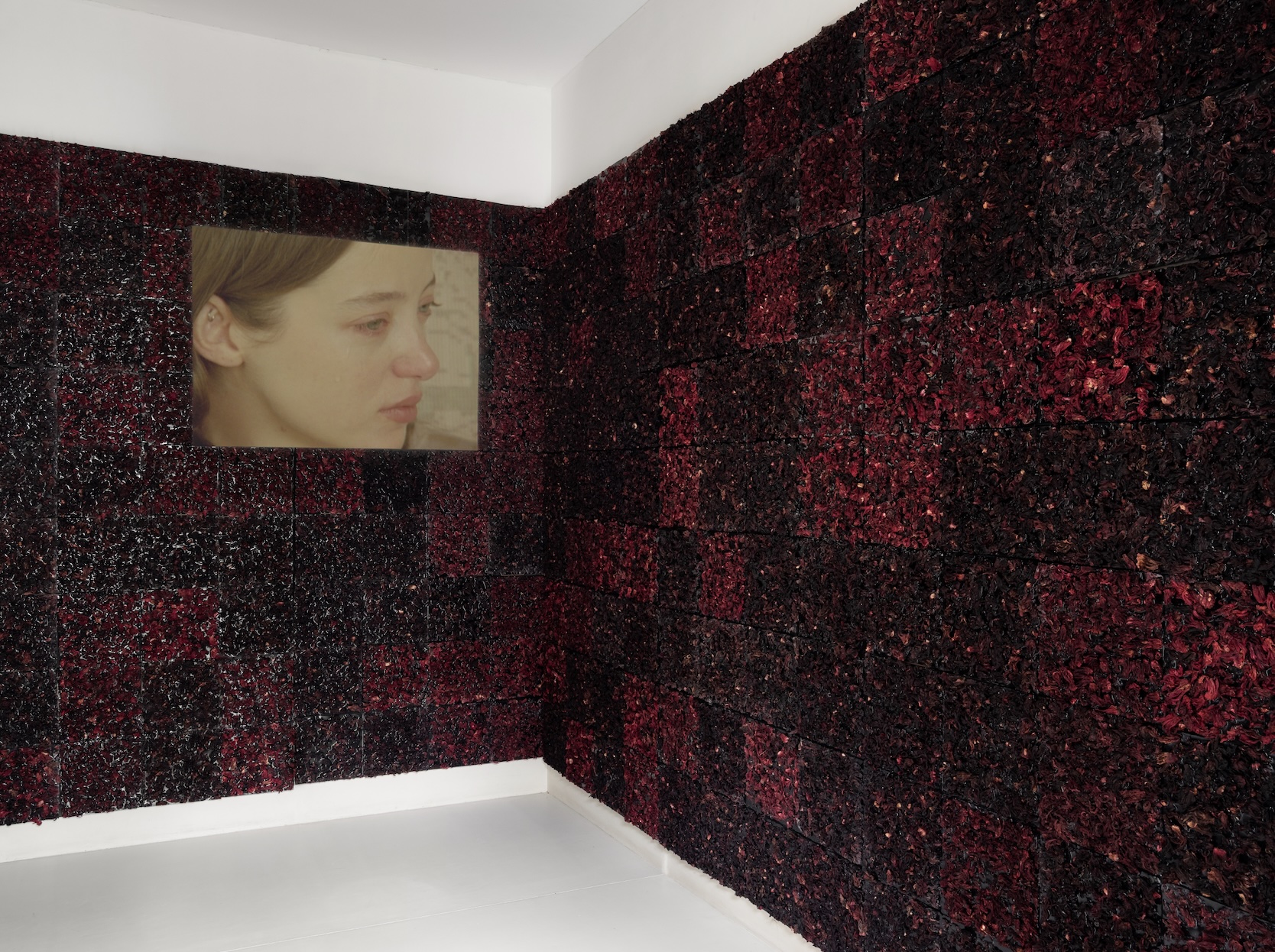 Manuela de Laborde, “El desierto de ella; Alicia, Chantal, Eunice”. Vista de la exposición, cortesía de la artista y PEANA. Fotografía de Caylon Hackwith