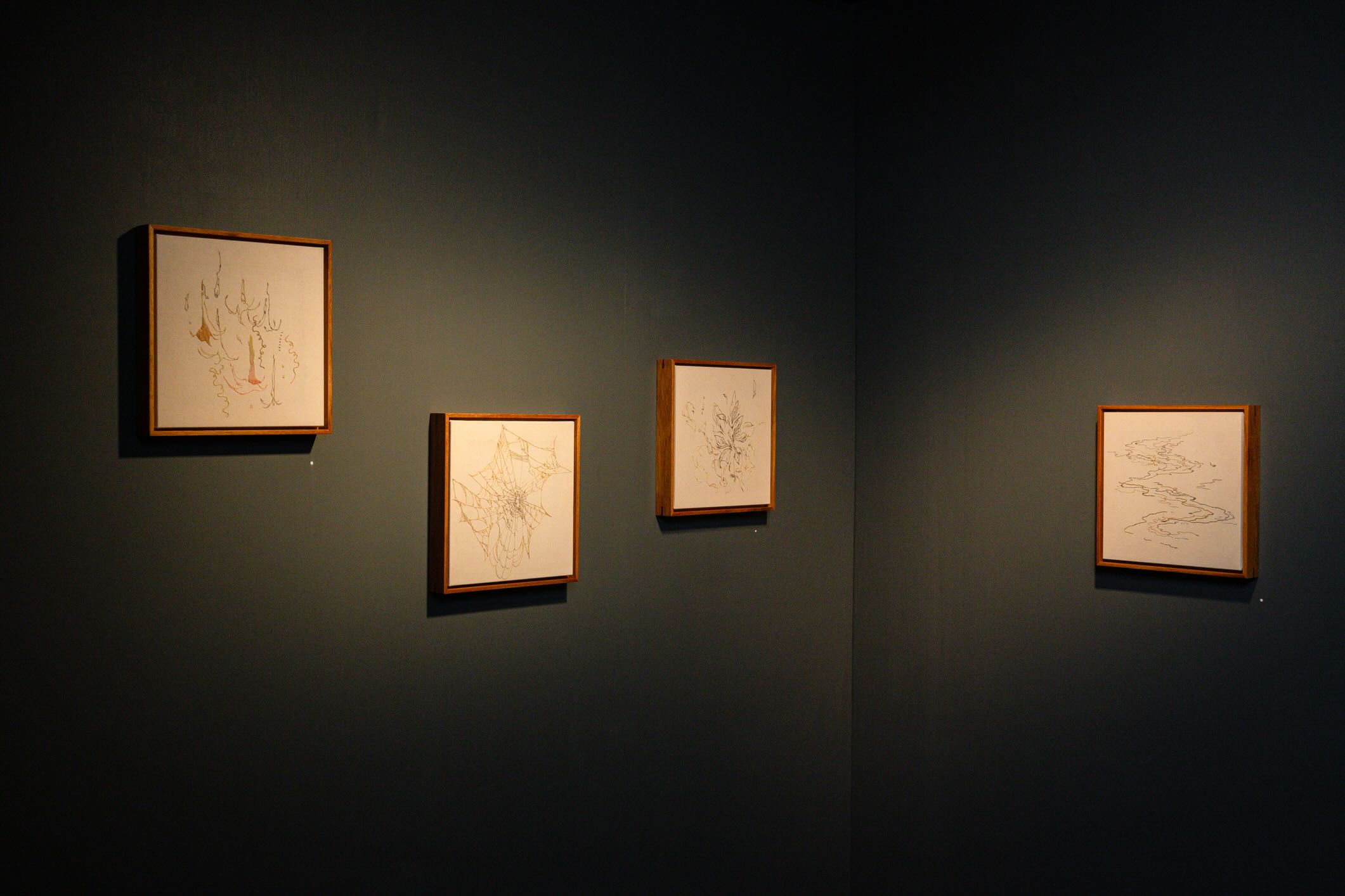 Antonia Alarcón, Había olvidado cómo se veía el horizonte perdiéndose en el cielo, installation view. Courtesy of the artist and Servidor Local. Photo: Pablo Astorga
