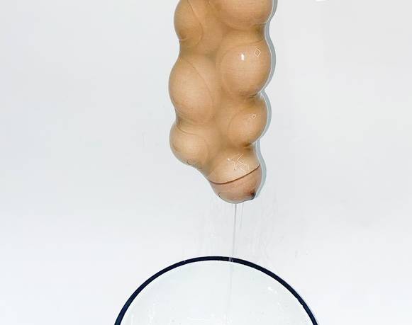 Anna de Castro Barbosa