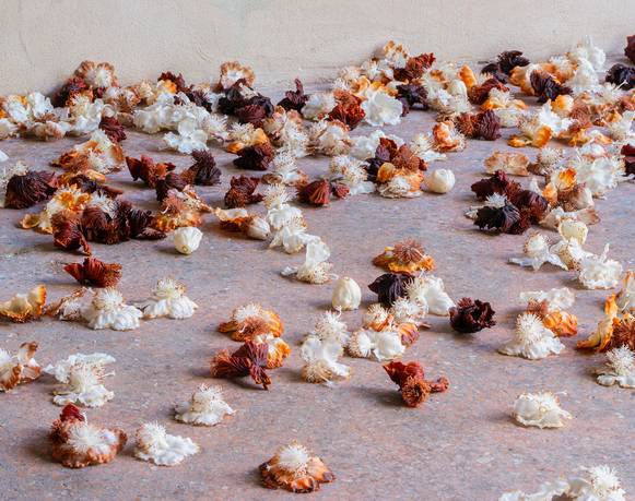 Allora & Calzadilla y Rirkrit Tiravanija