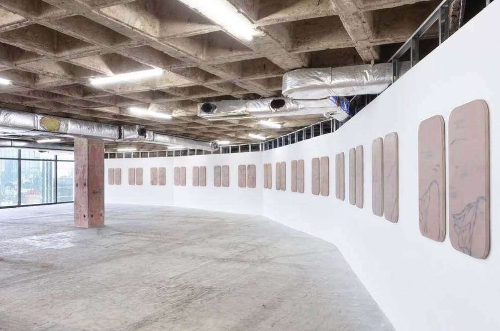 Proyectos Multipropósito