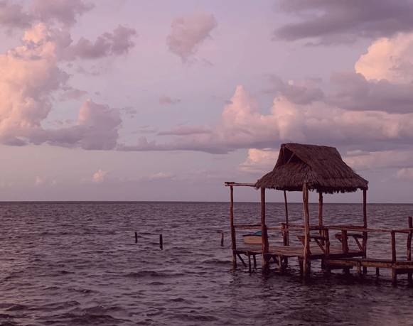 Sin Red, Laboratorio de danza
