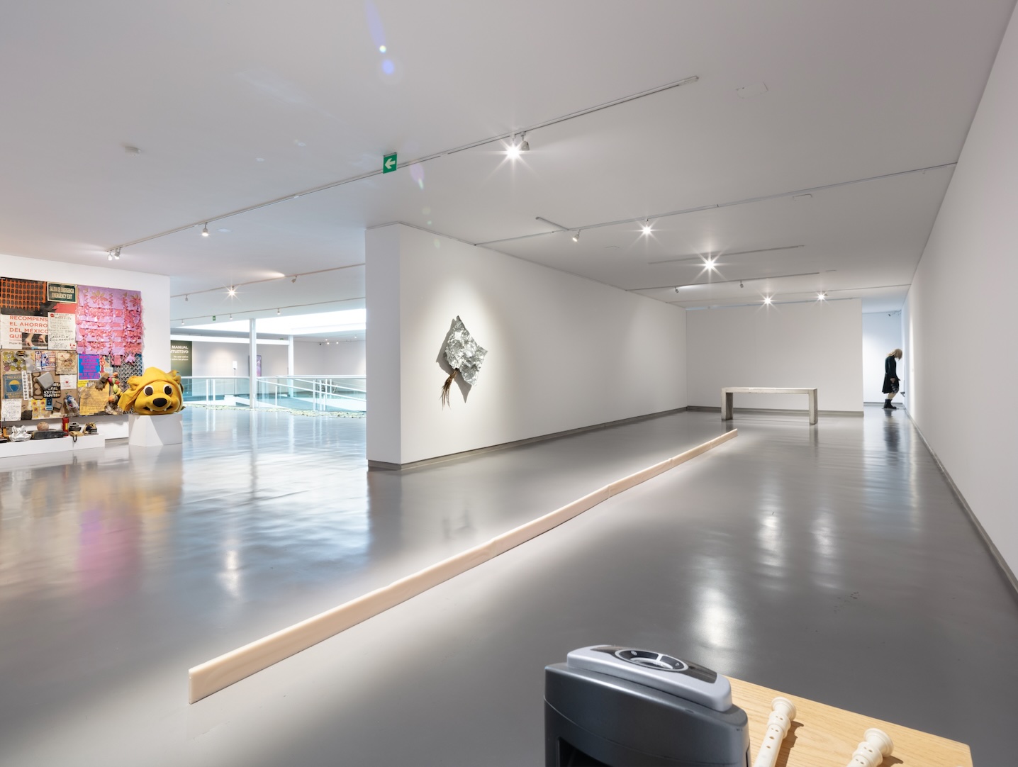 Muchas preguntas, pocas respuestas: sobre ‘manual intuitivo…’, curada por PETRA en el Museo de Arte Carrillo Gil 