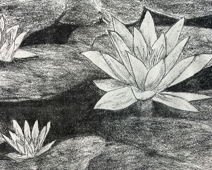 Jardinerxs del Futuro