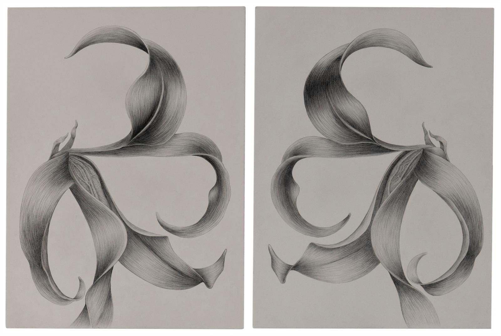 Amorce – Paper, Index, Trace