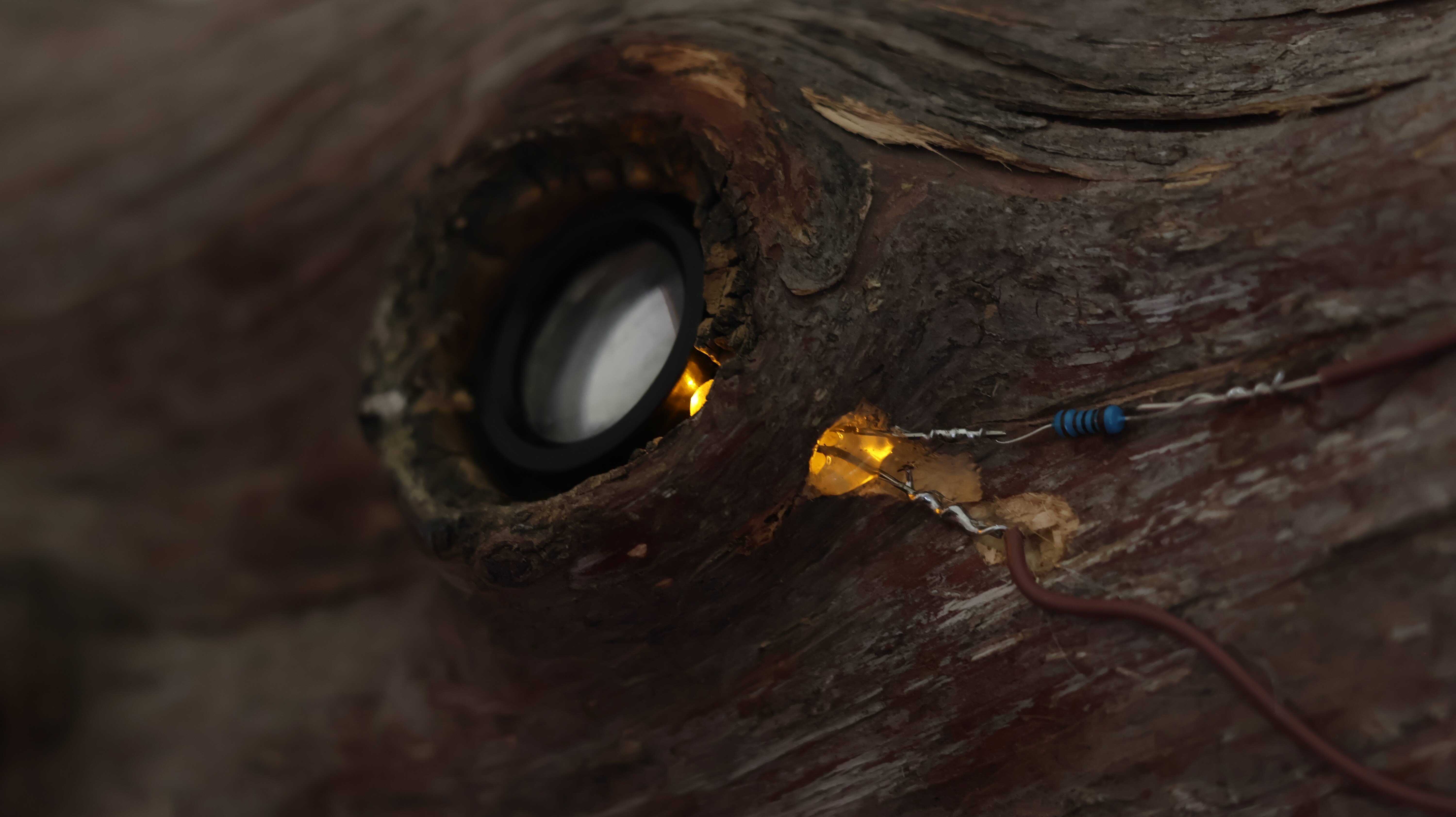 Navegar entre pestañas abiertas