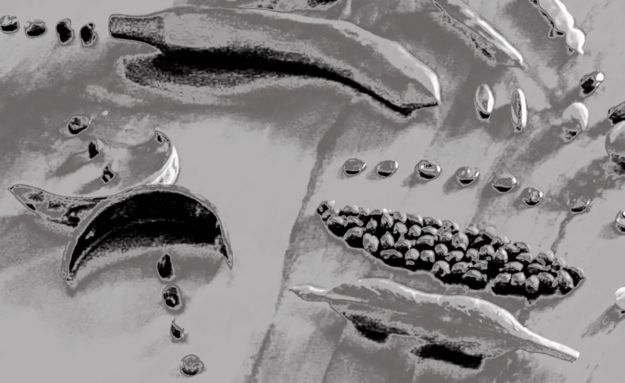 MUNDOS QUE SE (DES)HACEN