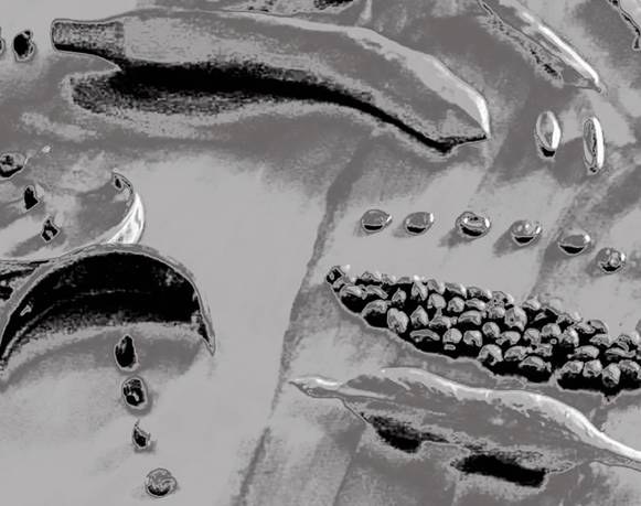 MUNDOS QUE SE (DES)HACEN