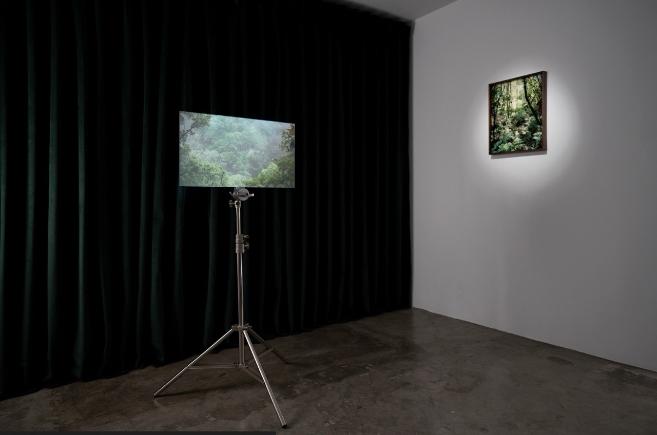 Charlas & Chardonnay