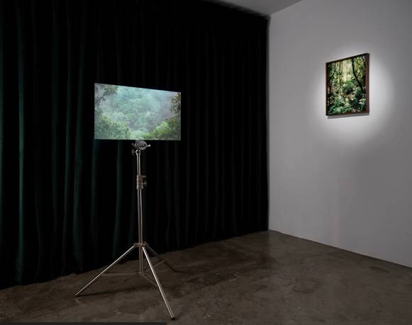 Charlas & Chardonnay