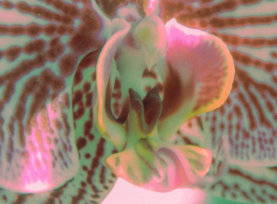 Presentación de Portafolio de Ana Rullan