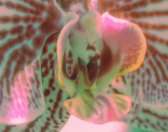 Presentación de Portafolio de Ana Rullan