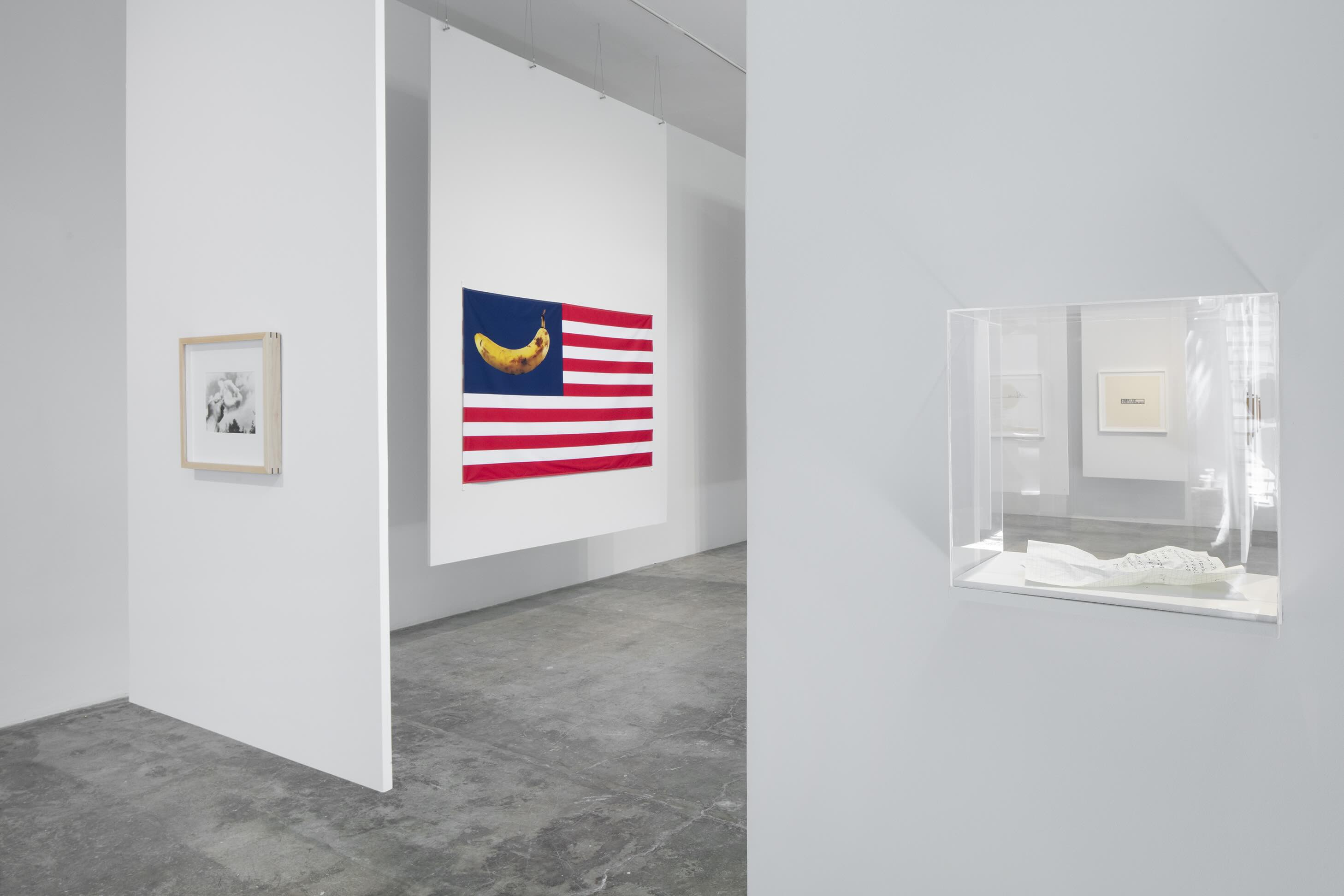 "Una que cubre la palabra que la nombra": Luis Camnitzer en LABOR