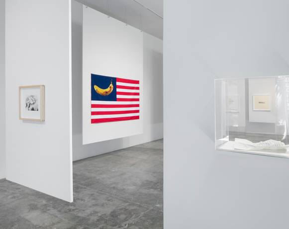 "Una que cubre la palabra que la nombra": Luis Camnitzer en LABOR