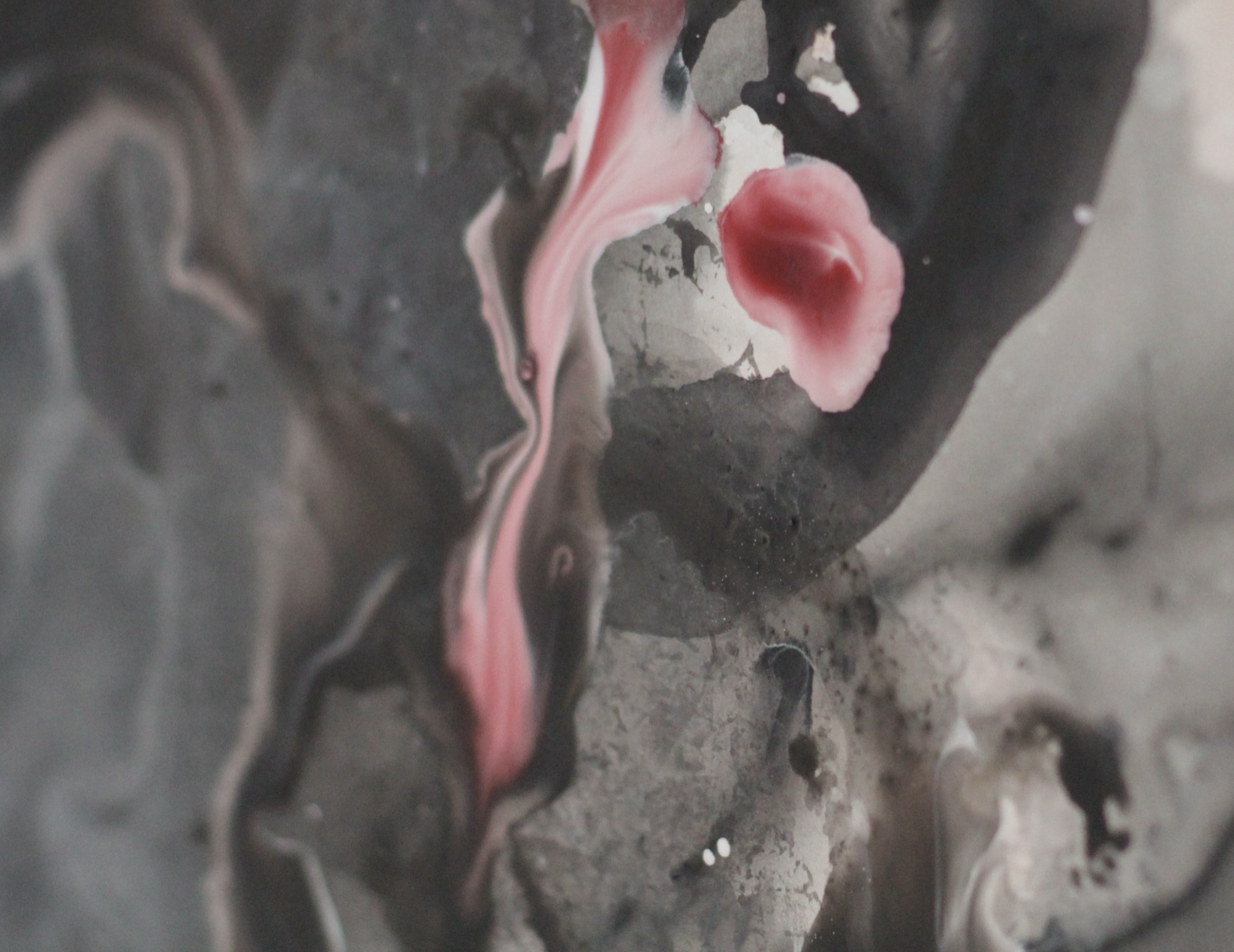 Exhibitions by the artists-in-residence