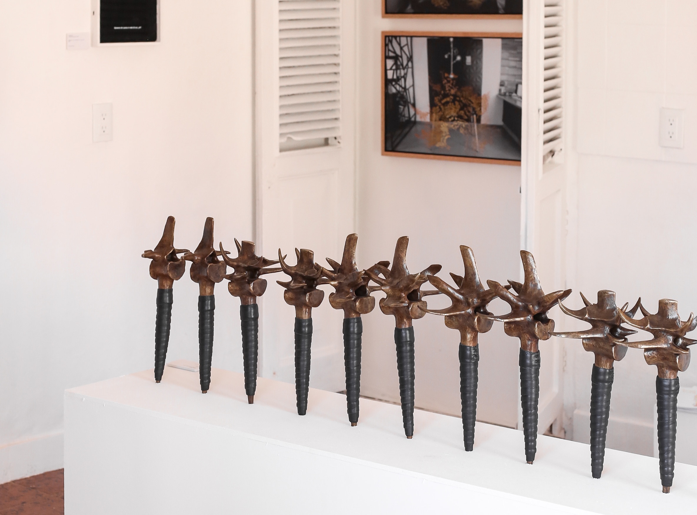 Cenaduría Tierra Blanca