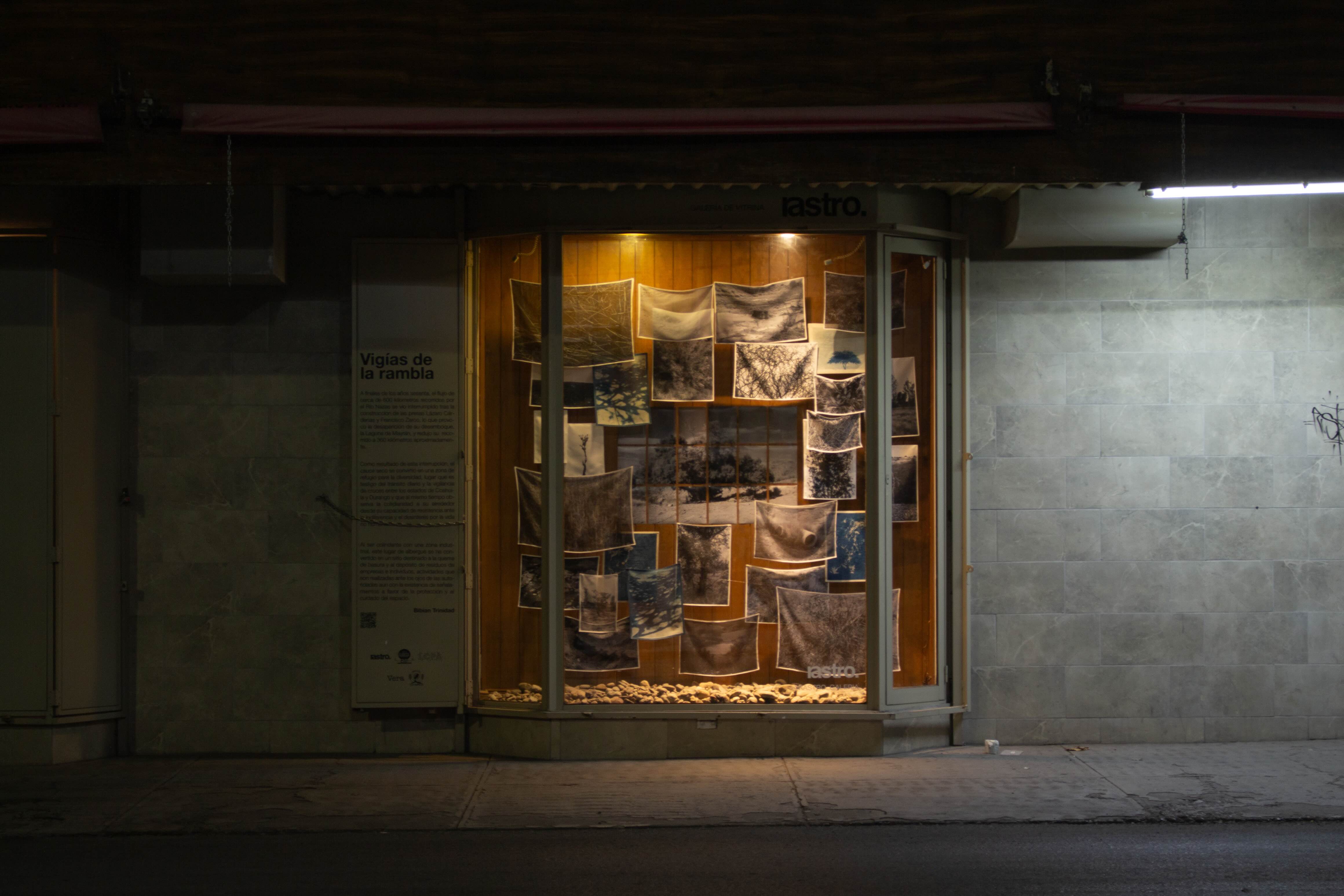 Rastro galería de vitrina