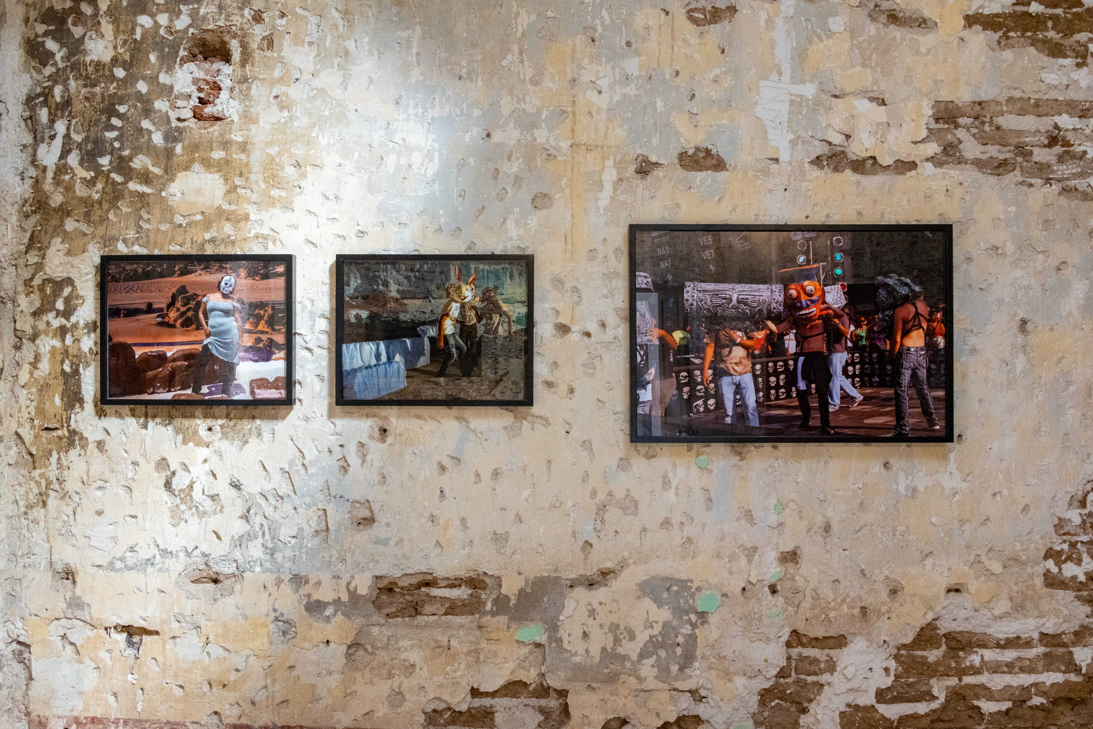 Ximena Labra - Image 3