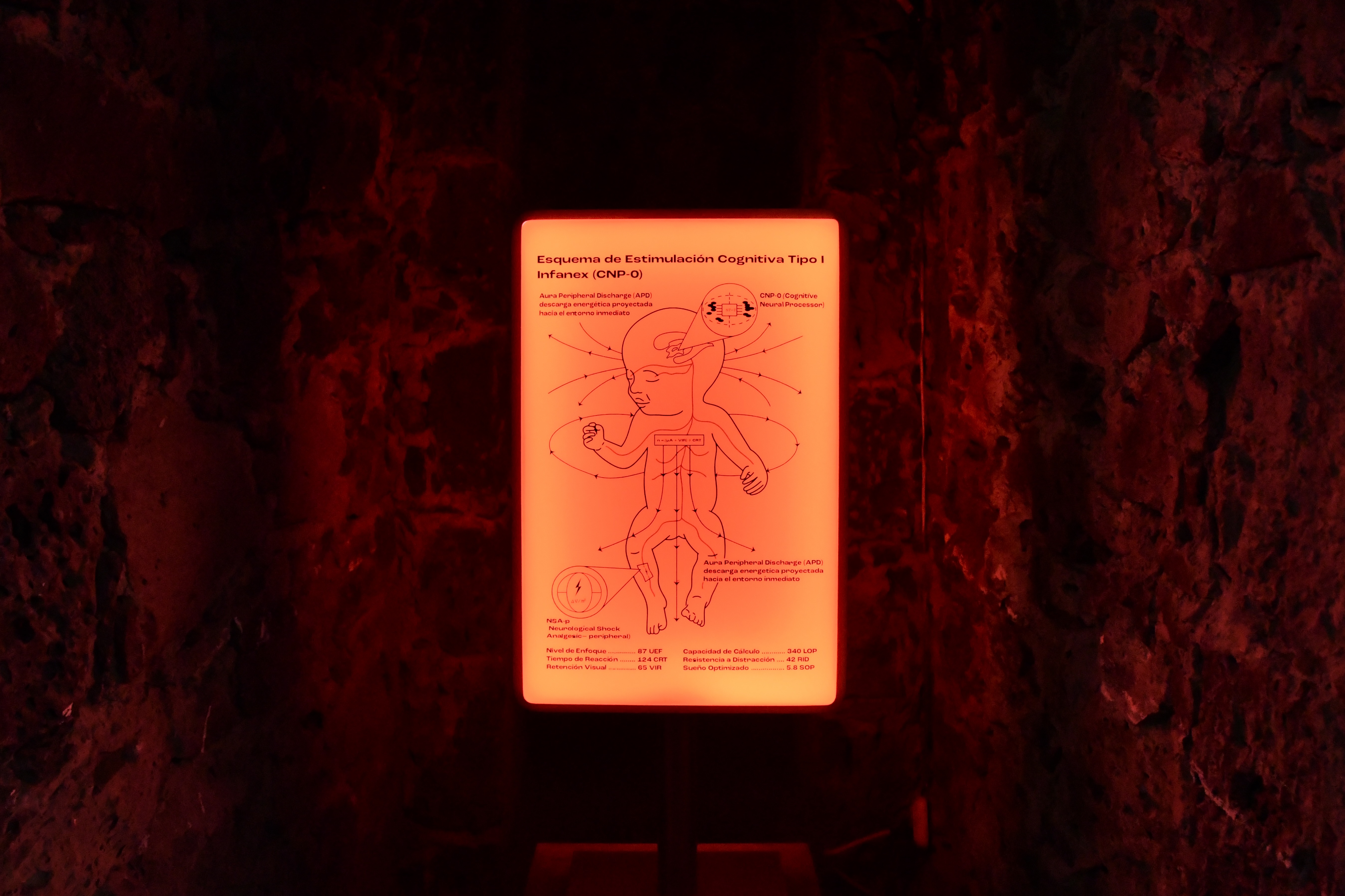 Exhibition view ‘Estética del dominio’, Museo Anahuacalli, 2025. Courtesy of Museo Anahuacalli