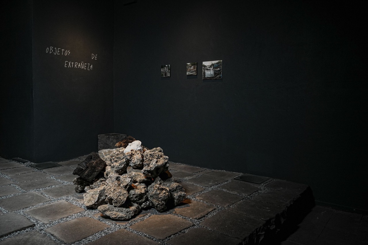 Objetos de extrañeza: recorrido curatorial 