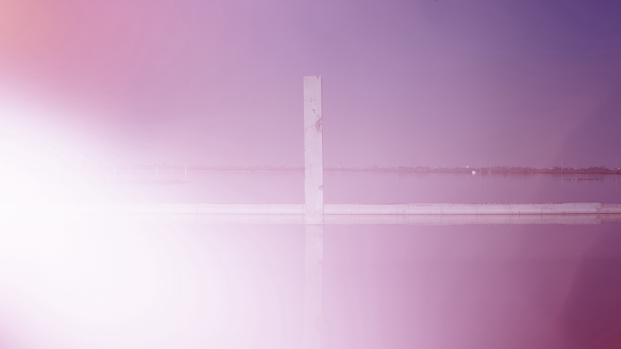 Melvin Lara: Estudio abierto