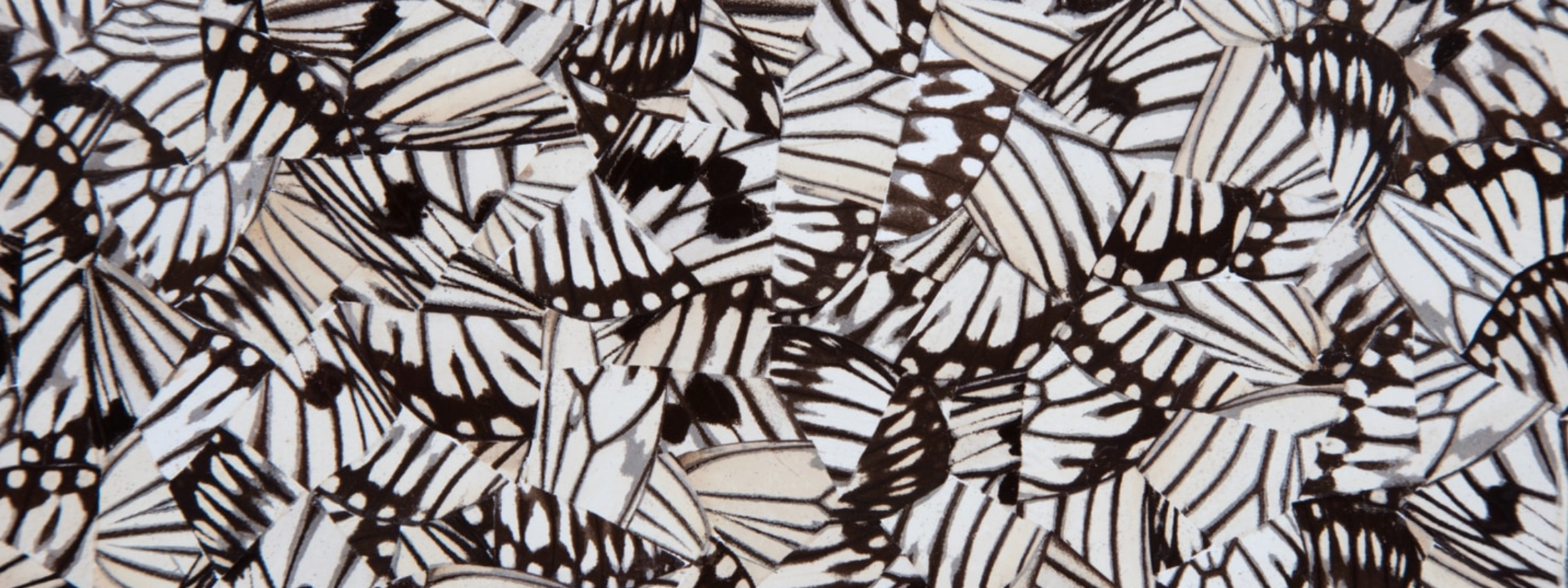 Gabriel de la Mora: El arte no se crea ni se destruye, sólo se transforma