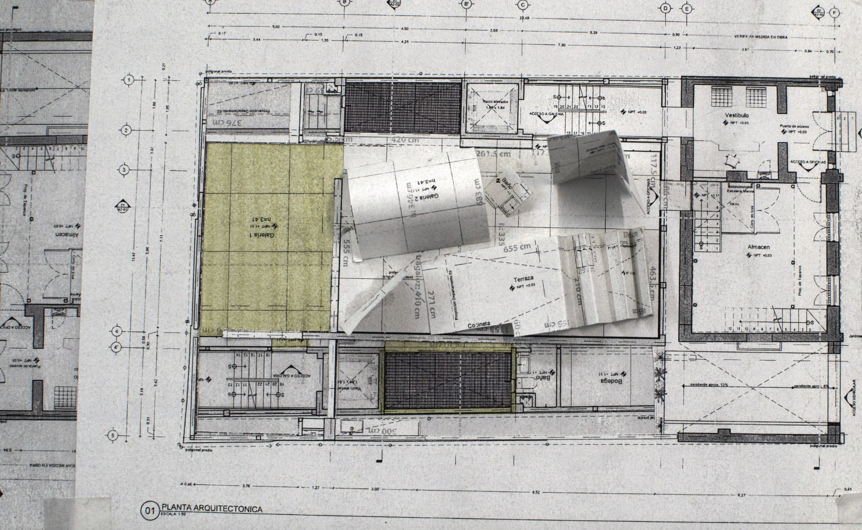 Madeline Jiménez Santil & Sebastian Clough-Grahame
