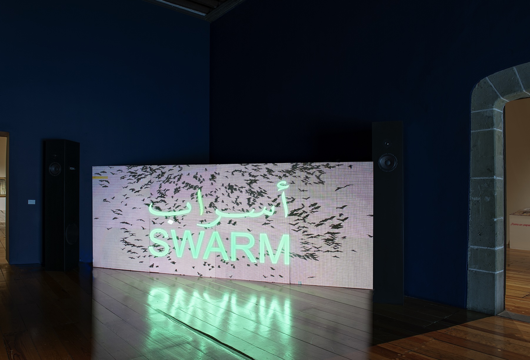 Zein Majali, "Swarm", en la exposición "Columna Rota", Museo de la Ciudad de México. Foto: José Ignacio González Man.