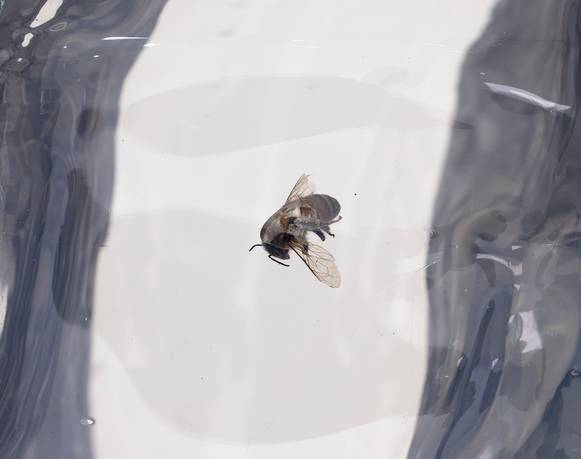 Tania Pérez Córdova