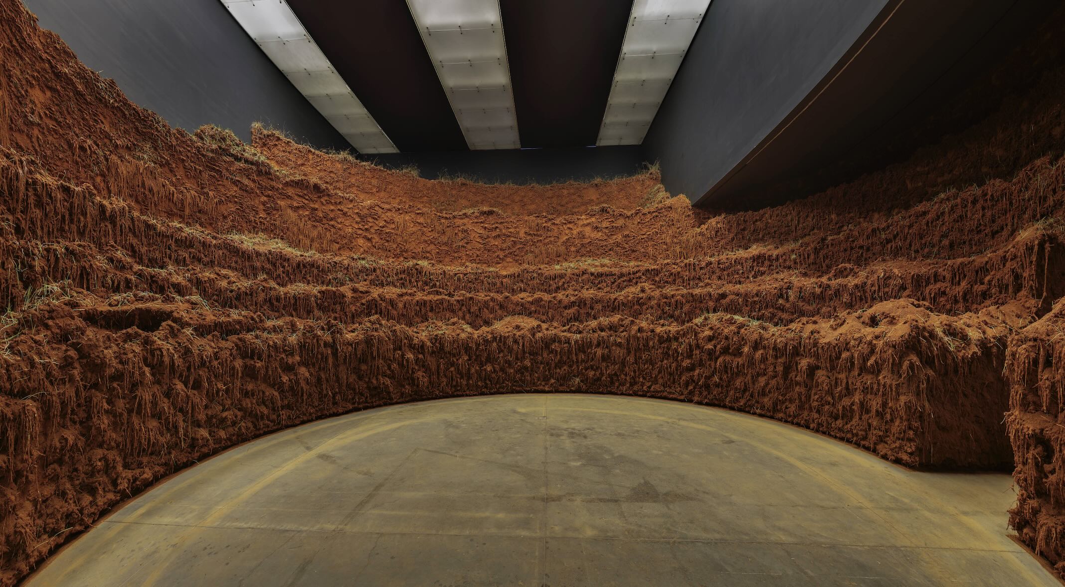 Las artes del monocultivo y los cuidados en el arte: "Espacio vientre" de Delcy Morelos en el MUAC