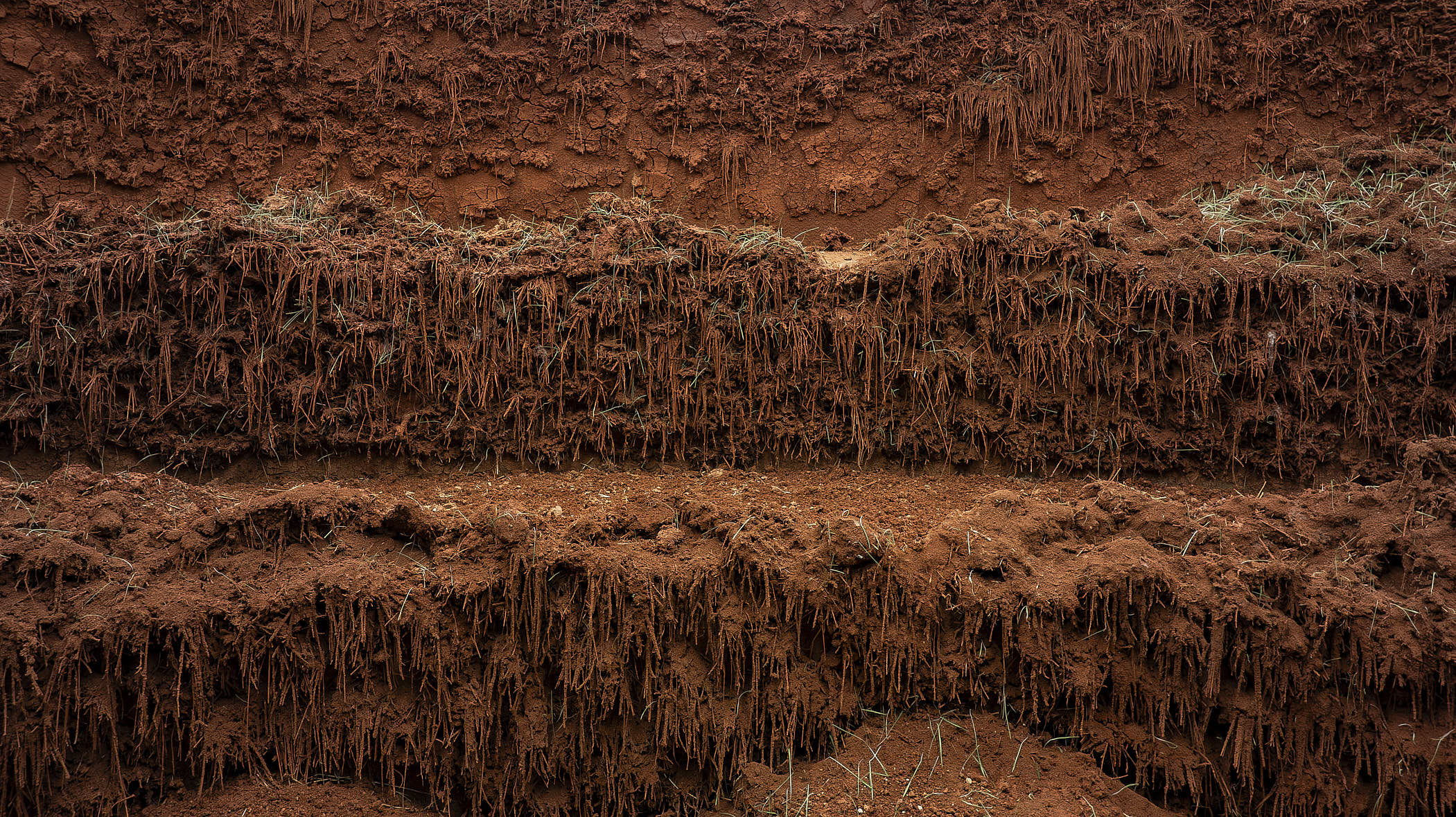 Delcy Morelos. El espacio vientre. Vista de exposición. Museo Universitario Arte Contemporáneo, MUAC/UNAM, 2025. Fotografía: Oliver Santana.