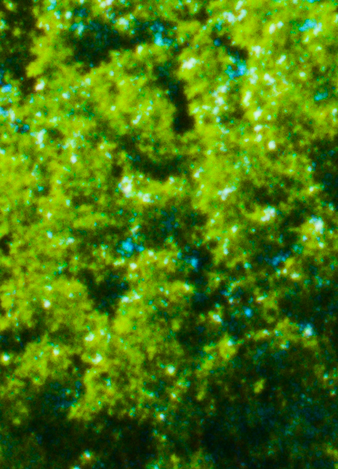 Exhibitions by Resident Artists