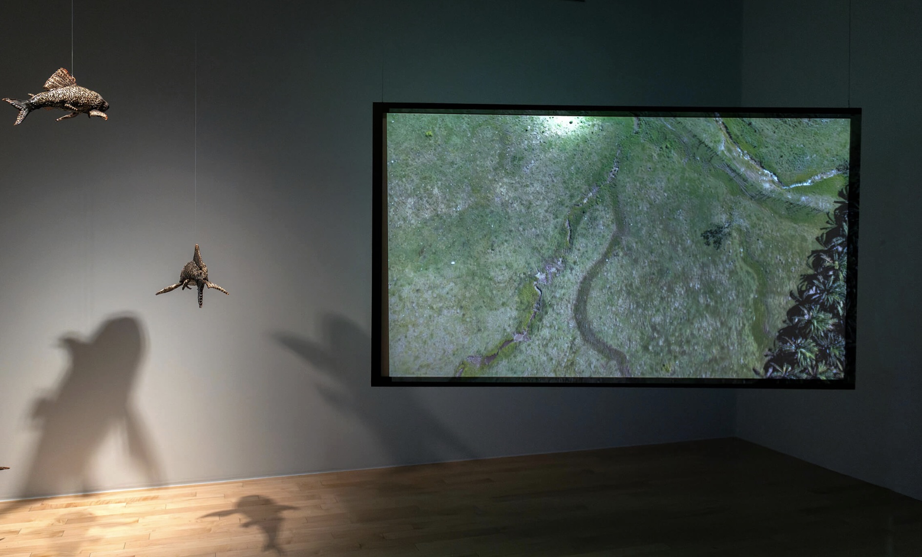 Estelas del Usumacinta