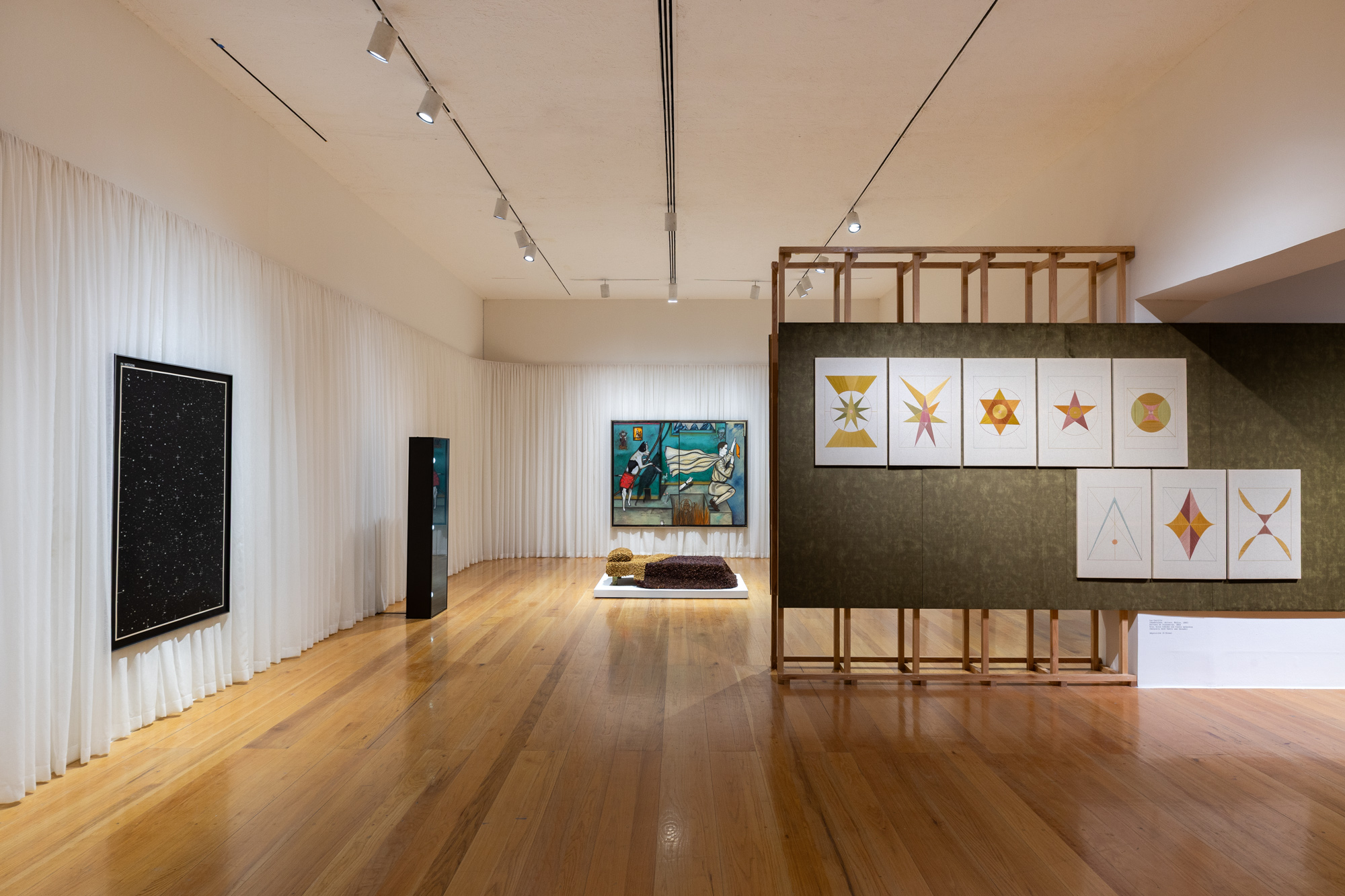 Constelaciones y derivas: arte de América Latina desde la Colección FEMSA