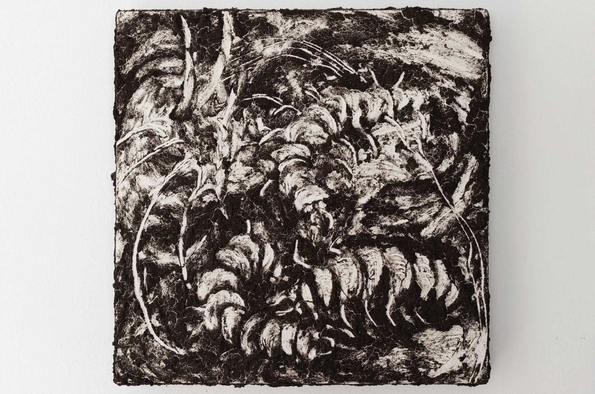 Acumulaciones (particula)res