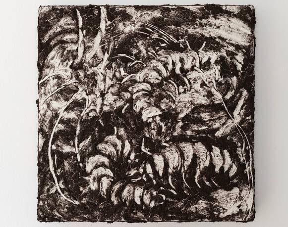 Acumulaciones (particula)res