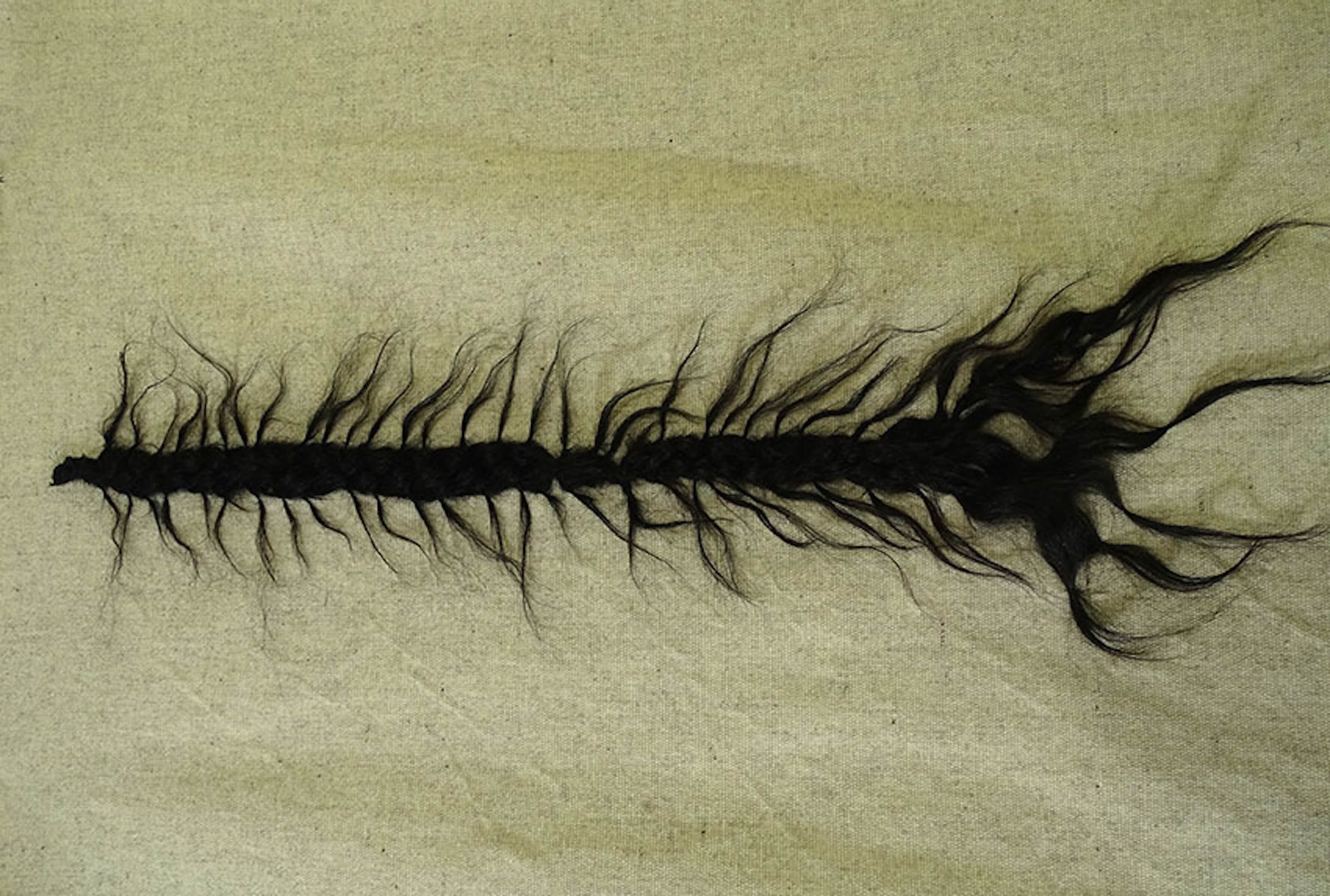 Presentación de portafolios de Gina Santos y Miranda Varo